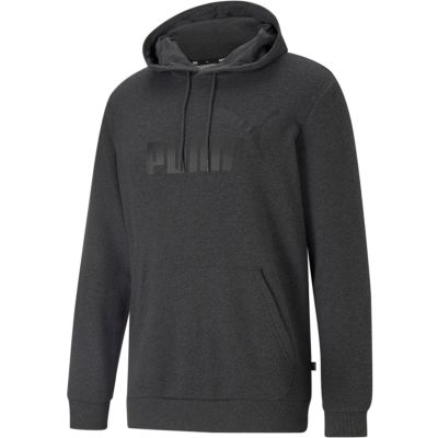 ESS Big Logo Hoodie TR in grau