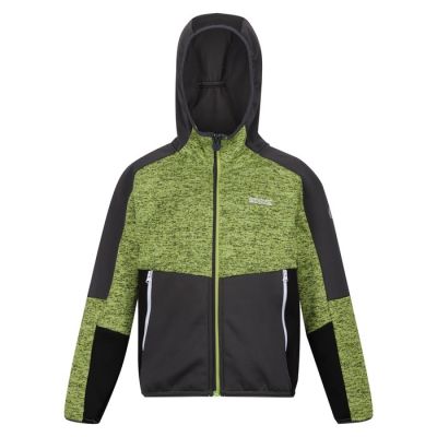 REGATTA GREAT OUTDOORS Jacke Dissolver VII in grün