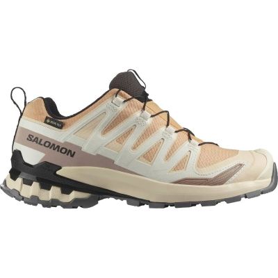 Damen Trailrunningschuhe SHOES XA PRO 3D V9 GTX W Hzlnut/Tender/B in braun