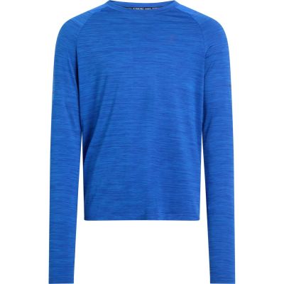 Herren Langarmshirt Ailo LS M in grau