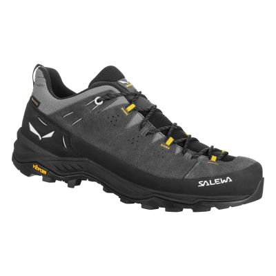 ALP TRAINER 2 GTX SHOE M in 0876 onyx/black