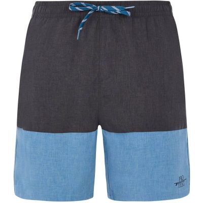 Herren Badeshorts PRTFreddie in grau