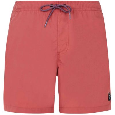Herren Badeshorts FASTER beachshort in braun