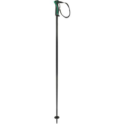 Herren Alpin-Skistock Frontside black green in grau