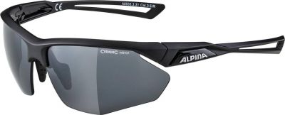 ALPINA Brille ALPINA NYLOS in grau