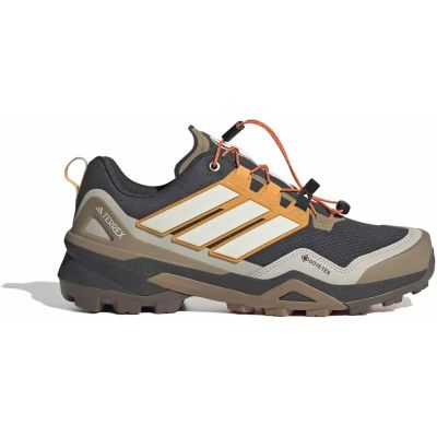 Herren Multifunktionsschuhe Terrex Skychaser GORE-TEX in grau
