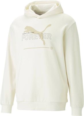 PUMA Herren Kapuzensweat ESS BETTER Hoodie TR in bunt