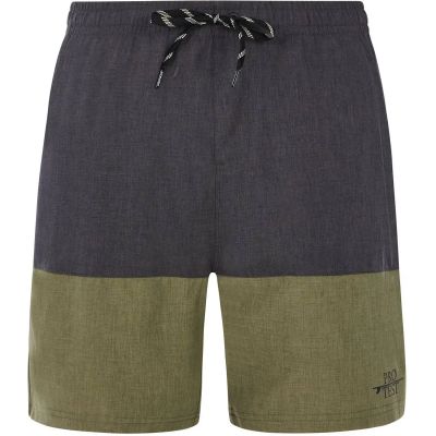 Herren Badeshorts PRTFreddie in grau