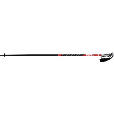Herren Alpin-Skistock Rush in schwarz