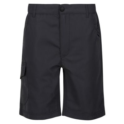 REGATTA GREAT OUTDOORS Sorcer Shorts II in grau