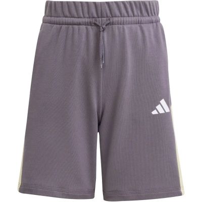 Kinder Shorts Seasonal Essentials Colorblock Kids in grau