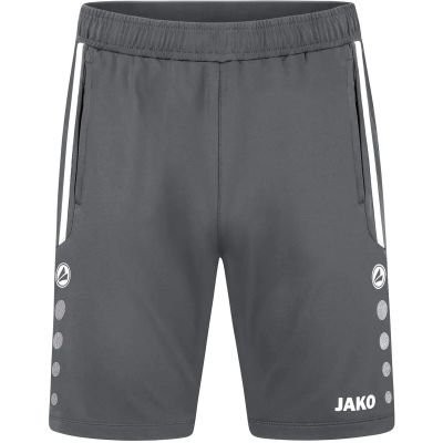 Herren Shorts Trainingsshort Allround in grau