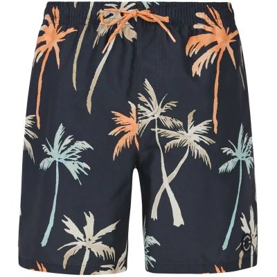 Herren Badeshorts PRTHear in schwarz